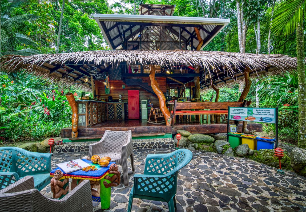 House in Manzanillo - Dream Palm House