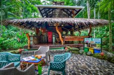 House in Manzanillo - Dream Palm House