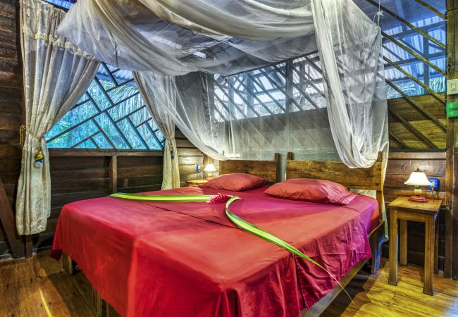 House in Manzanillo - Big Dream House House in Manzanillo - Big Dream House